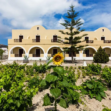 Pensionat Mandilaria Perivolos (Santorini)